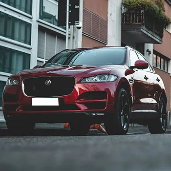 domestic auto repair in milton ga